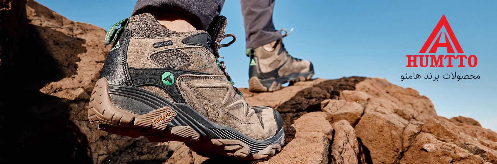 محصولات هامتو